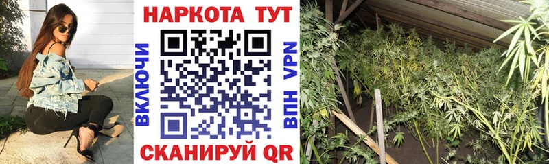 Купить наркотик аптеки Ржев Метамфетамин Меф COCAIN ГАШ Каннабис A PVP